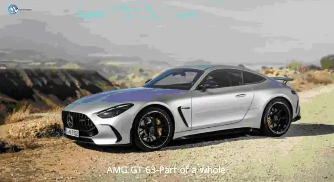 AMG GT 63-Part of a whole