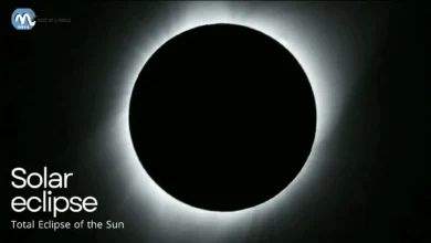 Total-Eclipse-of-the-Sun-part-of-a-whole