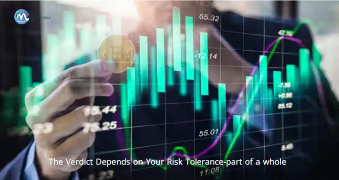 e-Verdict-Depends-on-Your-Risk-Tolerance-part-of-a-whole