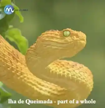 lha de Queimada - part of a whole