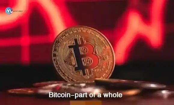 Bitcoin-part of a whole