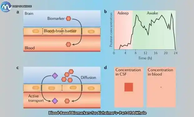 New Technologies for Alzheimer's-Blood-Based Biomarkers for Alzheimer's-part of a whole