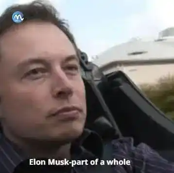 Elon-Musk-part-of-a-whole