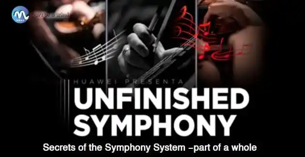 Secrets of the Symphony System - part of a whole