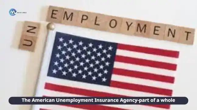 The-American-Unemployment-Insurance-Agency-part-of-a-whole