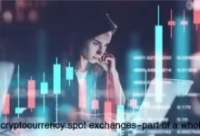 Top-cryptocurrency-spot-exchanges-part of a whole