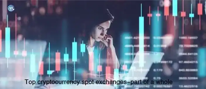 Top-cryptocurrency-spot-exchanges-part of a whole