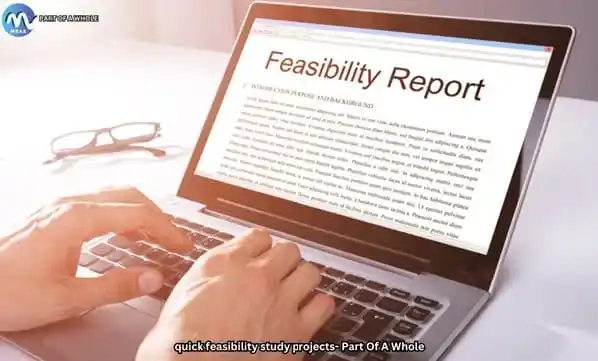 quick feasibility studies-part of a whole 