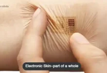 Technologies Changing The Shape Of Humanity-Electronic-Skin-part-of-a-whole