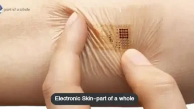 Technologies Changing The Shape Of Humanity-Electronic-Skin-part-of-a-whole