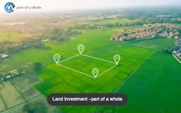 Land-Investment-part-of-a-whole-part-of-a-whole