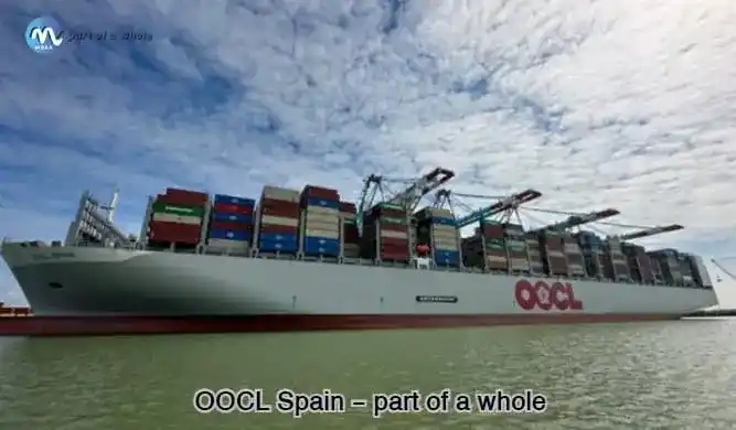 OOCL Spain - part of a whole