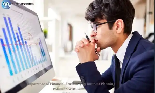 The Ultimate Guide To Financial Feasibility Analysis-Importance of Financial Feasibility in Business Planning-part of a whole