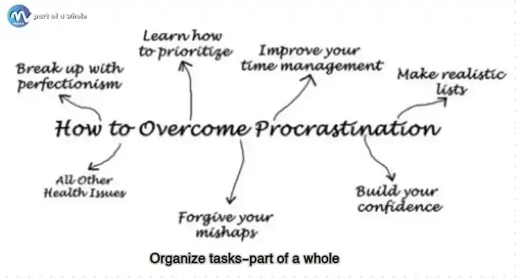 Why We Procrastinate and How to Overcome It-Organize tasks-part of a whole