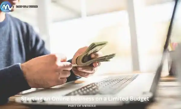 Starting an Online Business on a Limited Budget- part of a whole