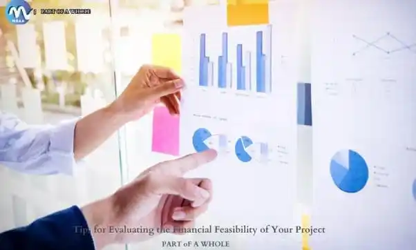 Tips for Evaluating the Financial Feasibility of Your Project-part of a whole