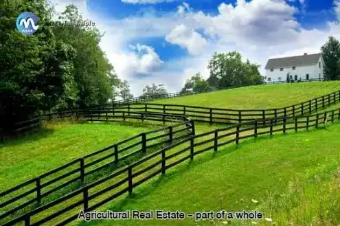 Agricultural Real Estate - part of a whole