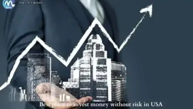 Best Place to Invest Money Without Risk In USA-part of a whole