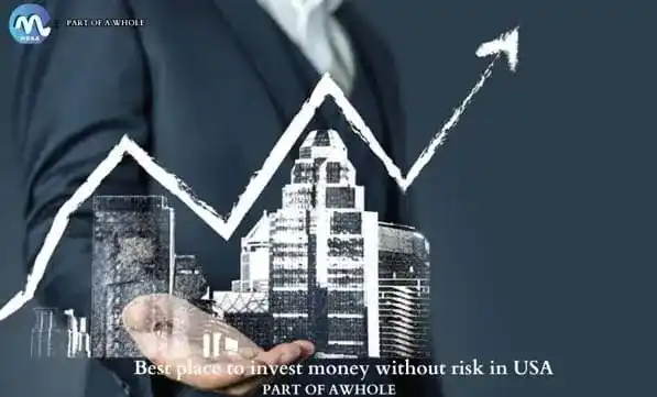 Best Place to Invest Money Without Risk In USA-part of a whole