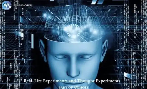 Real-Life Experiments and Thought Experiments-part of a whole