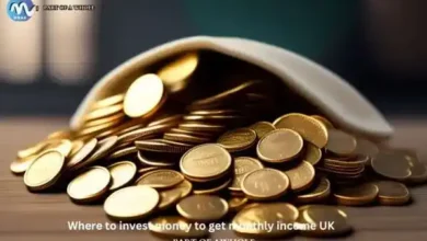 Where To Invest Money to Get Monthly Income UK-part of a whole.